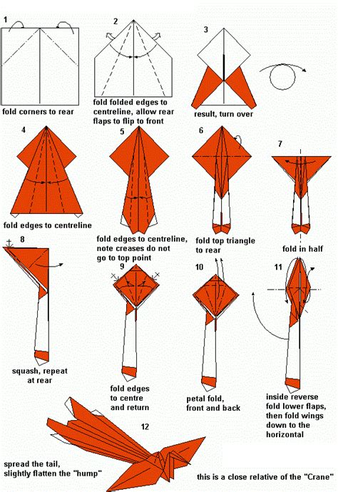 Origami Paper Folding