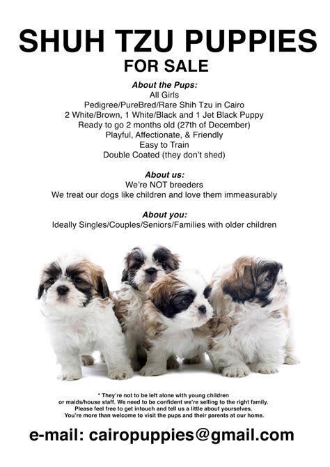 Simple Puppy Sale Flyer