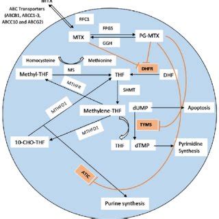 Simplified ATI Basic Concept Template