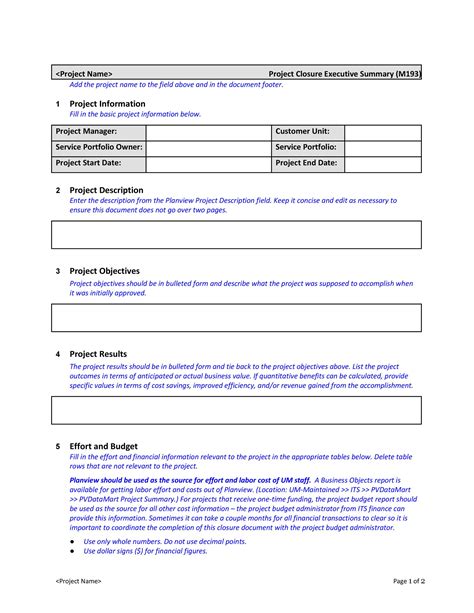 Example of Simplified Executive Summary Template