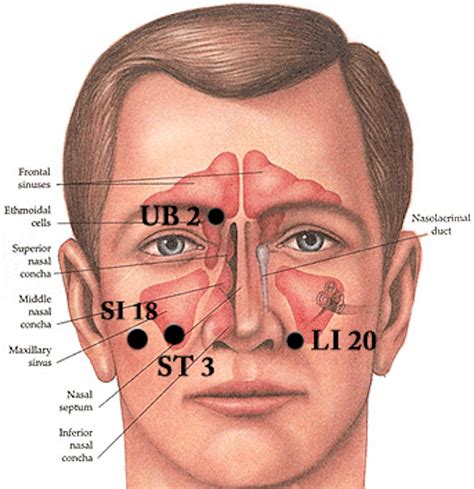 Sinus pressure diagram