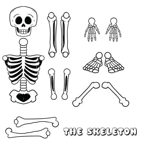 Skeleton Bones Template