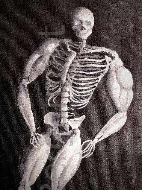 Skeleton Bones Paint