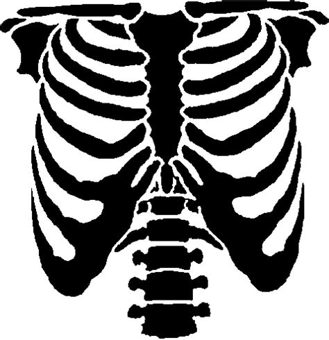 Skeleton Rib Cage Template Printable