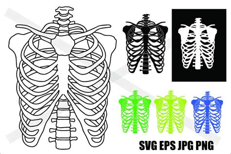 Skeleton Rib Cage Template Printable Download