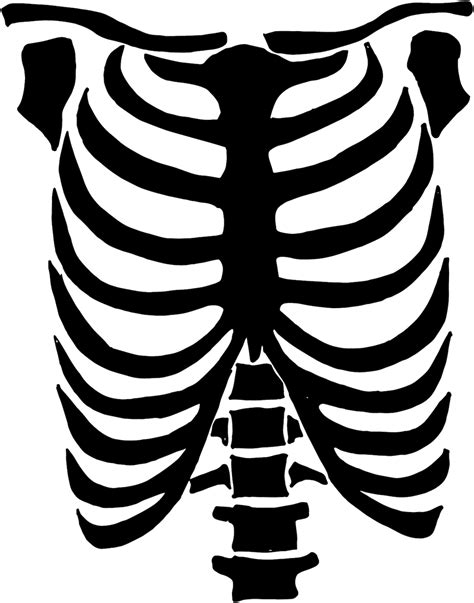 Skeleton Rib Cage Template Printable Download