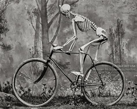 Skeleton riding bike coloring page