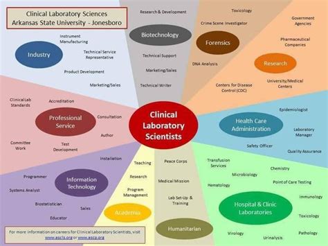 Skills and Qualities Required for Careers in Science and Health Industries