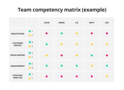 Skills Matrix Template Example 4