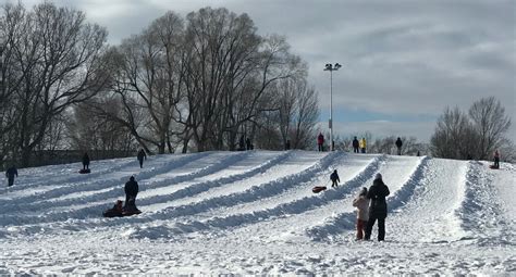 Sledding in Montreal