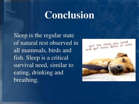 Conclusion on Deep Sleep