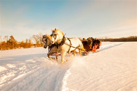 Sleigh Ride Horse Drawn