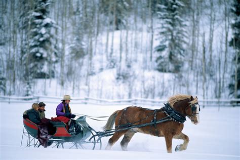 Sleigh Ride in Snow-Covered Countryside