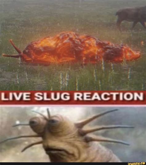 Conclusion from a slug reaction template