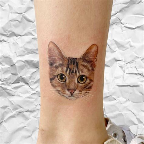 Small cat tattoos with color