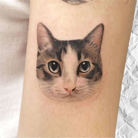 Small cat tattoos with realistic design