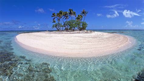 A small island with a dense forest