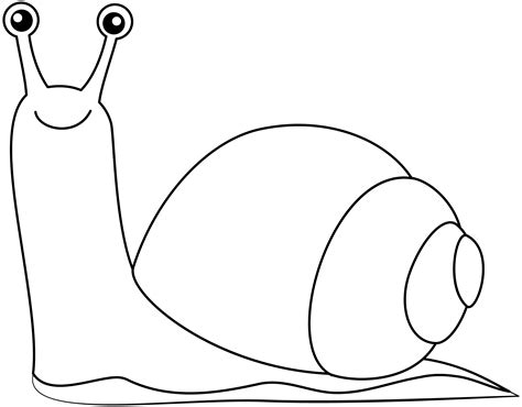 Snail Template Drawing