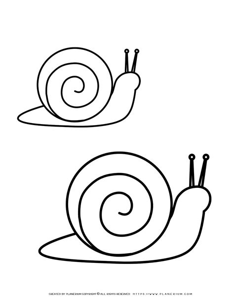 Snail Template Educational