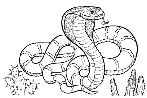 Snake and its eggs coloring page