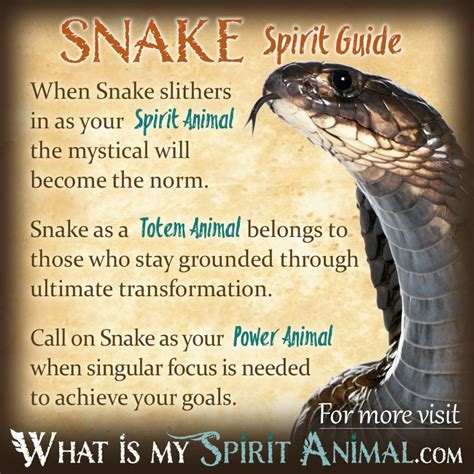 Description of Snake Symbolism