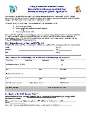 SNAP Georgia Application Form