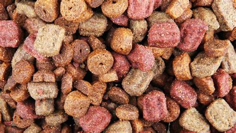 SNAP benefits being used to purchase pet food