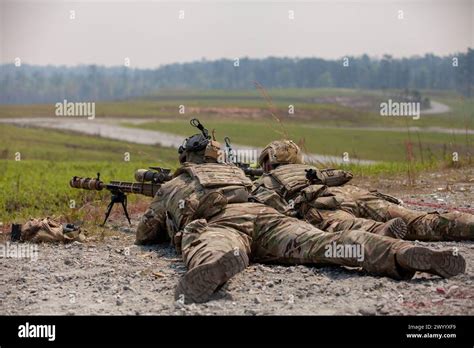 Sniper in position