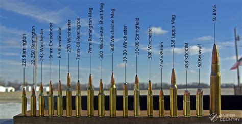 Sniper rifle calibers comparison chart