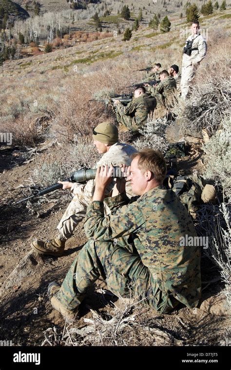 Sniper Training Safety