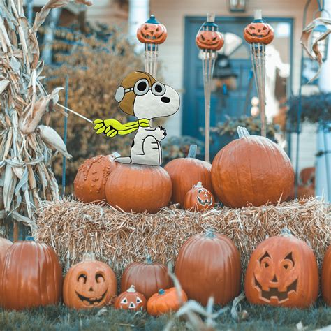 Snoopy Flying Ace Pumpkin