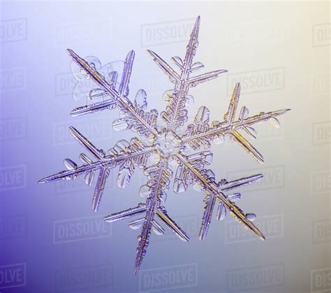 A delicate snowflake-shaped Christmas tree star topper in white and blue