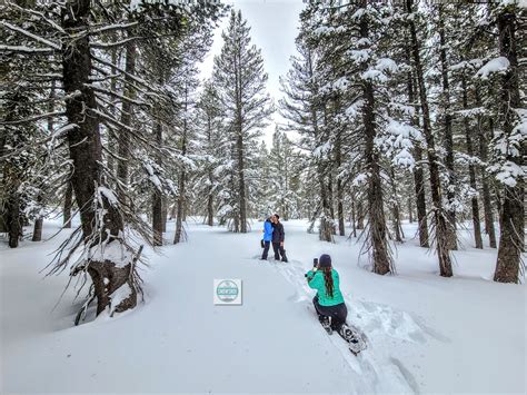 Snowshoeing at Lake Tahoe