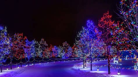 Snowy Christmas Lights