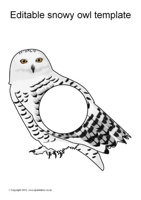 Snowy Owl Template 1