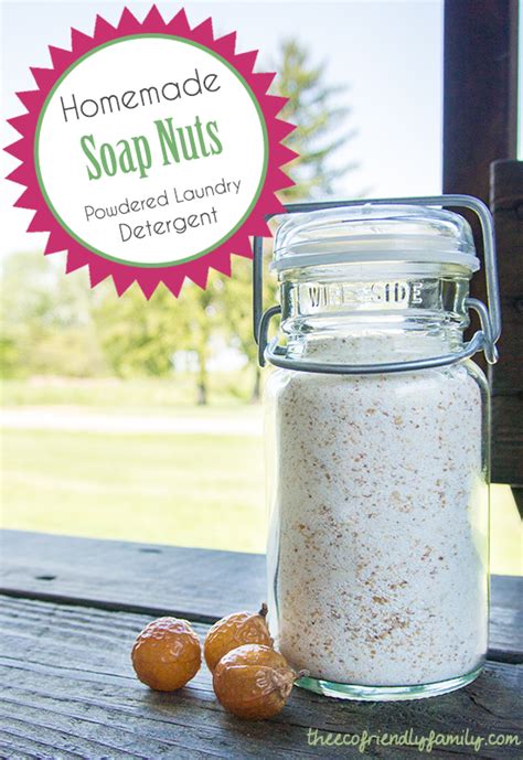 Soap nuts for laundry