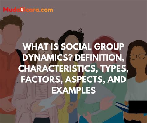 Exploring social dynamics