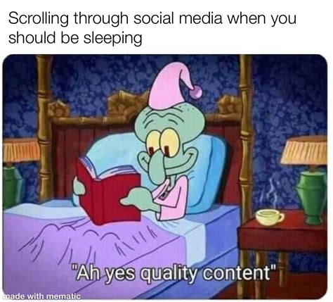 Social Media Sleep Meme