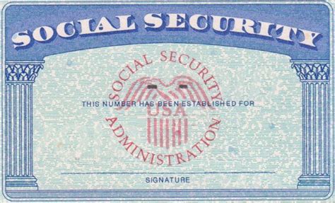 Social Security Card Template Vector