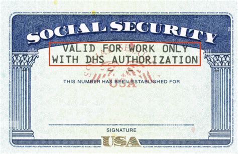 Social Security Card Types