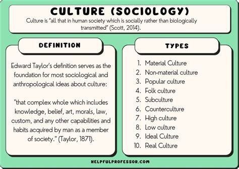 Sociology and Culture