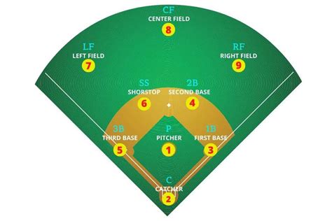 Softball Field Diagram with Positions