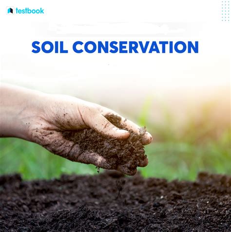 Soil conservation importance