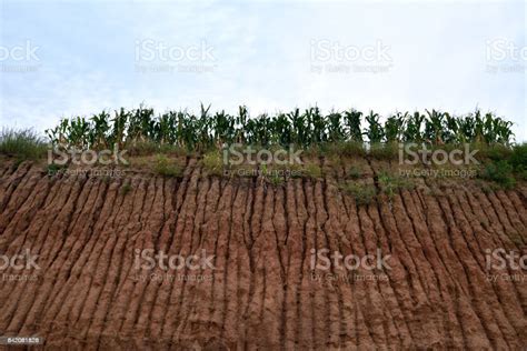 Soil erosion and food security