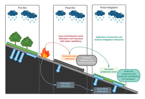 Soil erosion mitigation strategies