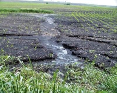 Soil erosion and water quality