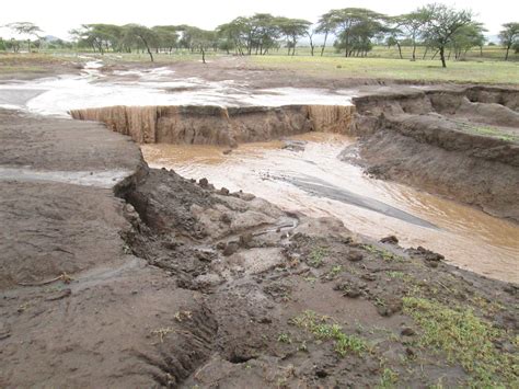 Soil erosion from intensive farming