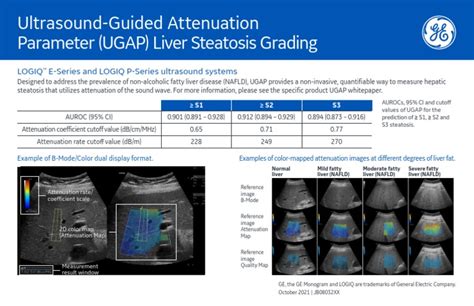 Sonography Image 1