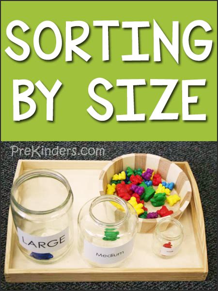 Sorting by Size Activities