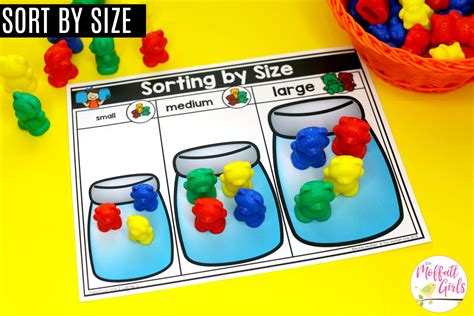 Sorting by Size Activities